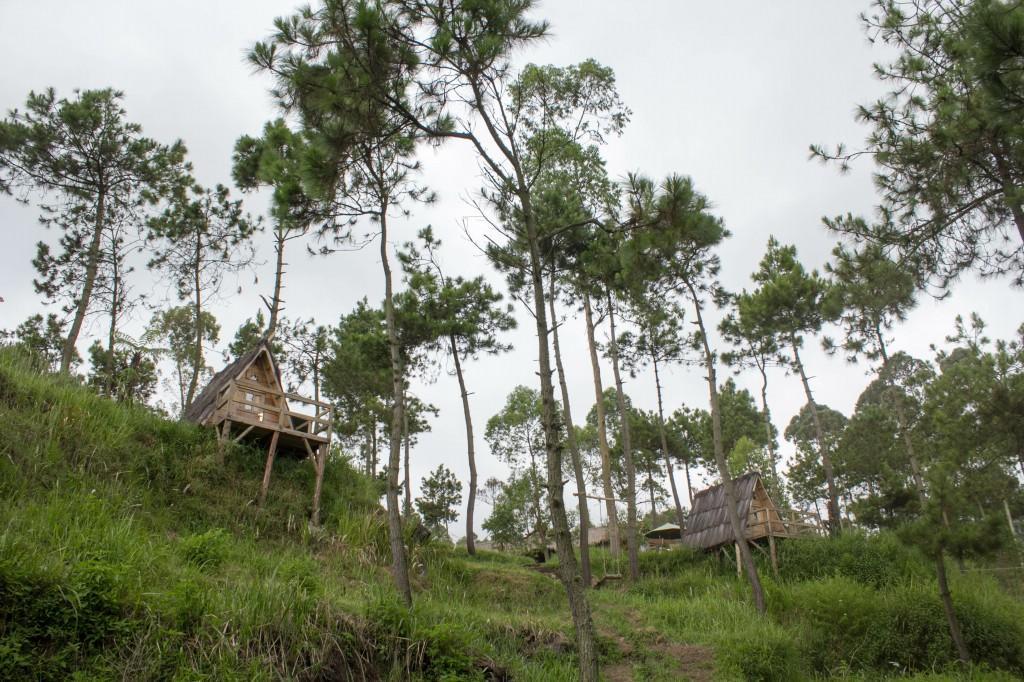 فندق Cileuleuyفي  Papandayan Camping Ground المظهر الخارجي الصورة