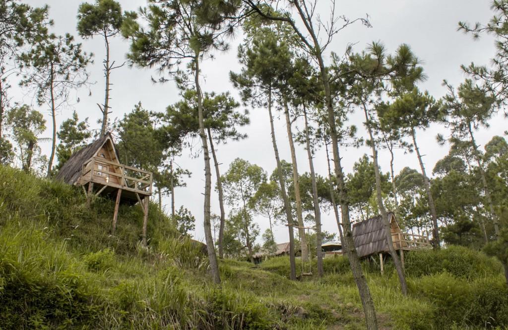 فندق Cileuleuyفي  Papandayan Camping Ground المظهر الخارجي الصورة