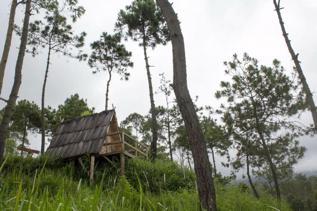 فندق Cileuleuyفي  Papandayan Camping Ground المظهر الخارجي الصورة