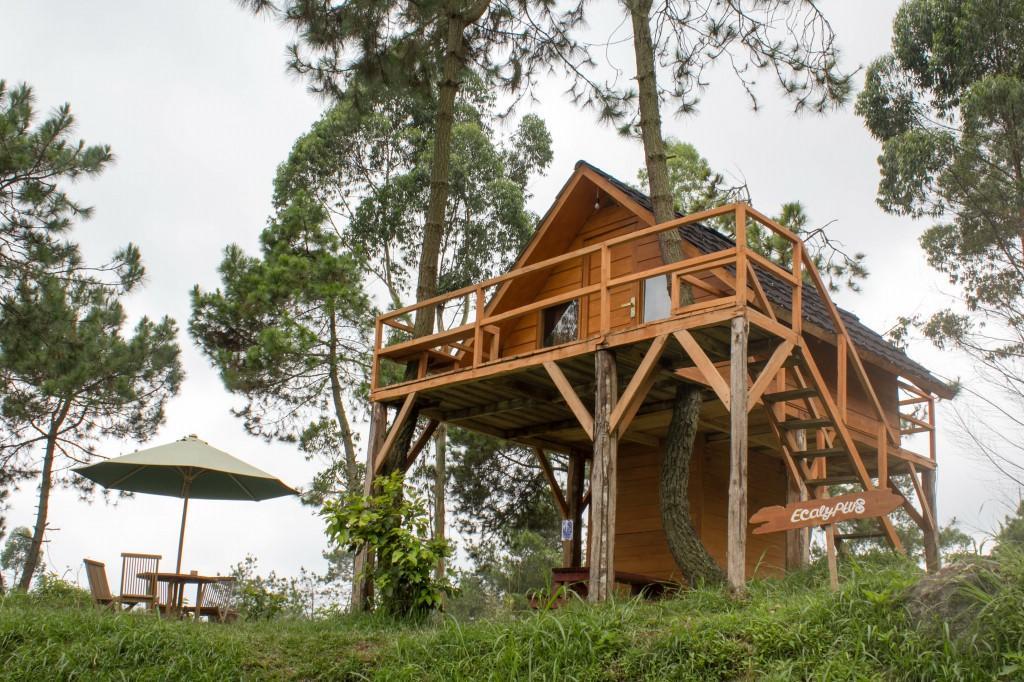 فندق Cileuleuyفي  Papandayan Camping Ground المظهر الخارجي الصورة