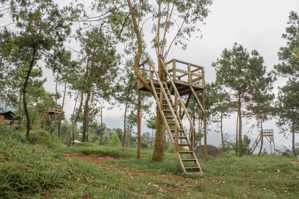 فندق Cileuleuyفي  Papandayan Camping Ground المظهر الخارجي الصورة