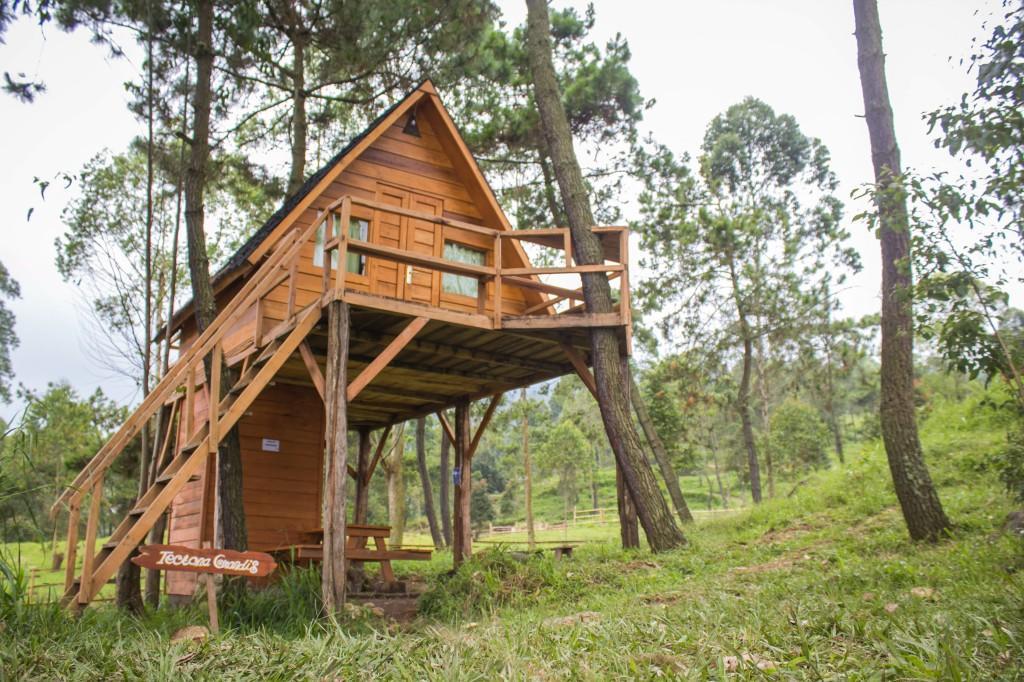 فندق Cileuleuyفي  Papandayan Camping Ground المظهر الخارجي الصورة