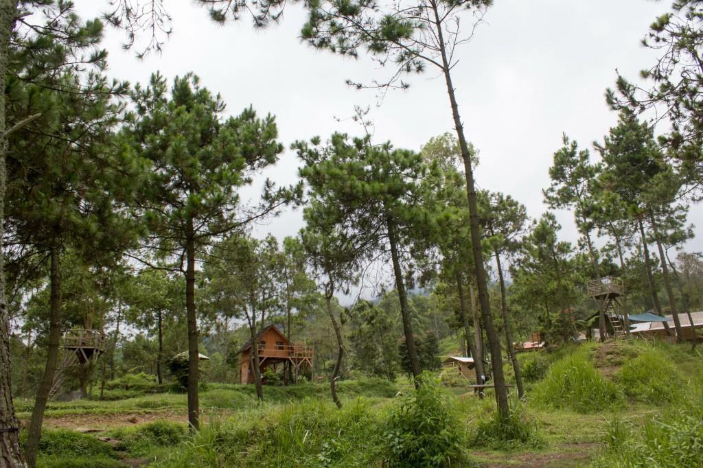 فندق Cileuleuyفي  Papandayan Camping Ground المظهر الخارجي الصورة