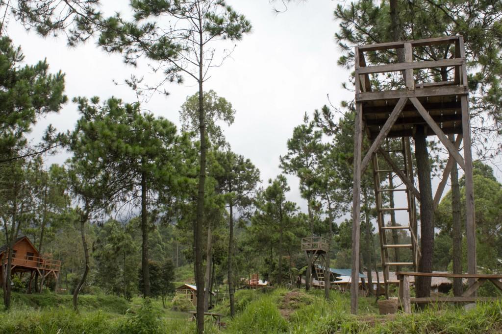 فندق Cileuleuyفي  Papandayan Camping Ground المظهر الخارجي الصورة