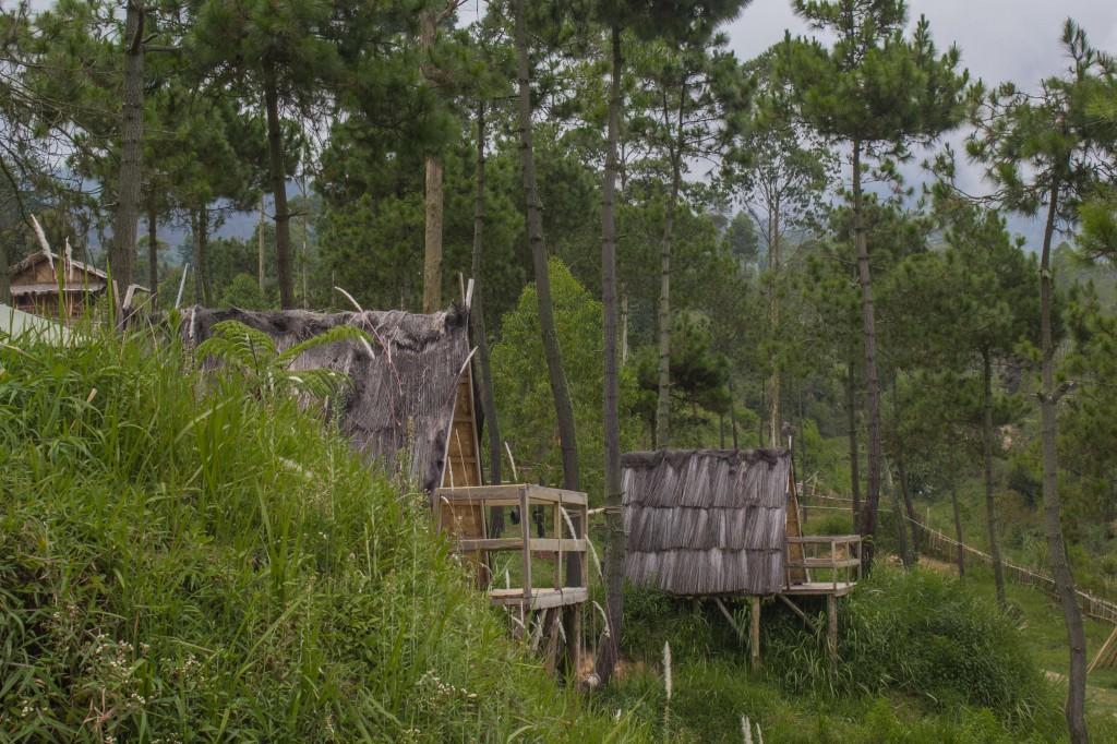 فندق Cileuleuyفي  Papandayan Camping Ground المظهر الخارجي الصورة