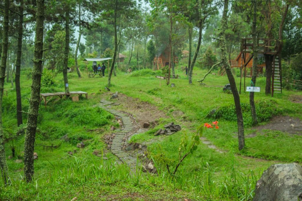 فندق Cileuleuyفي  Papandayan Camping Ground المظهر الخارجي الصورة
